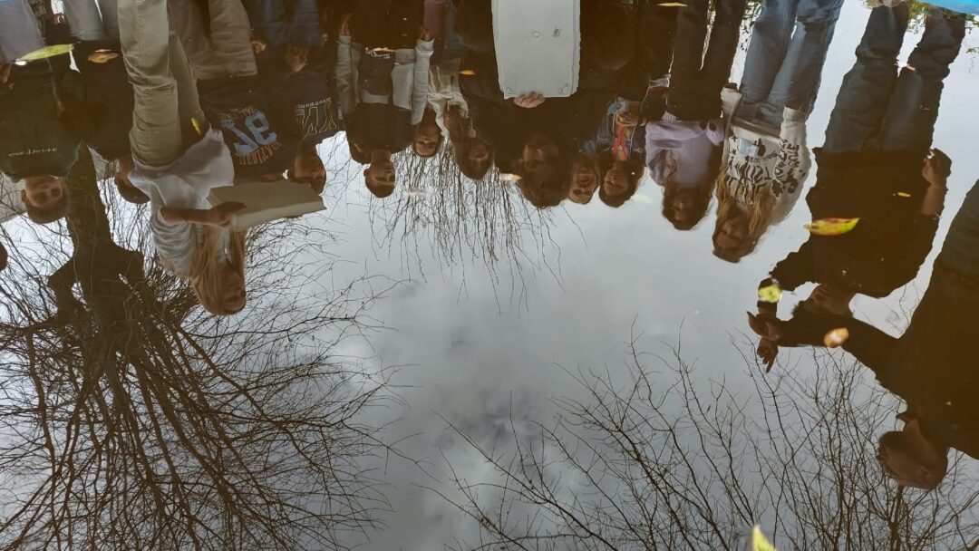 A biodiversidade do  charco