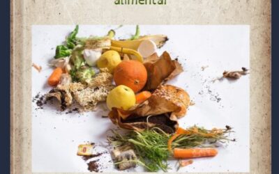 Capa do livro digital