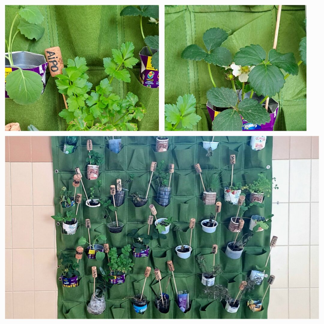 Uma horta vertical cabe em qualquer lugar!