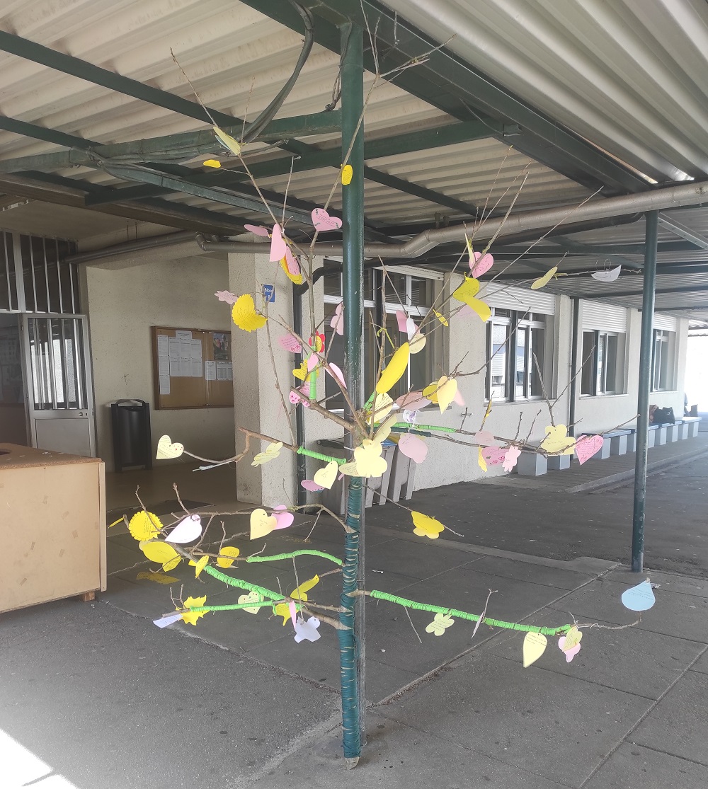 “Feira de Oportunidades e Árvore Criativa”