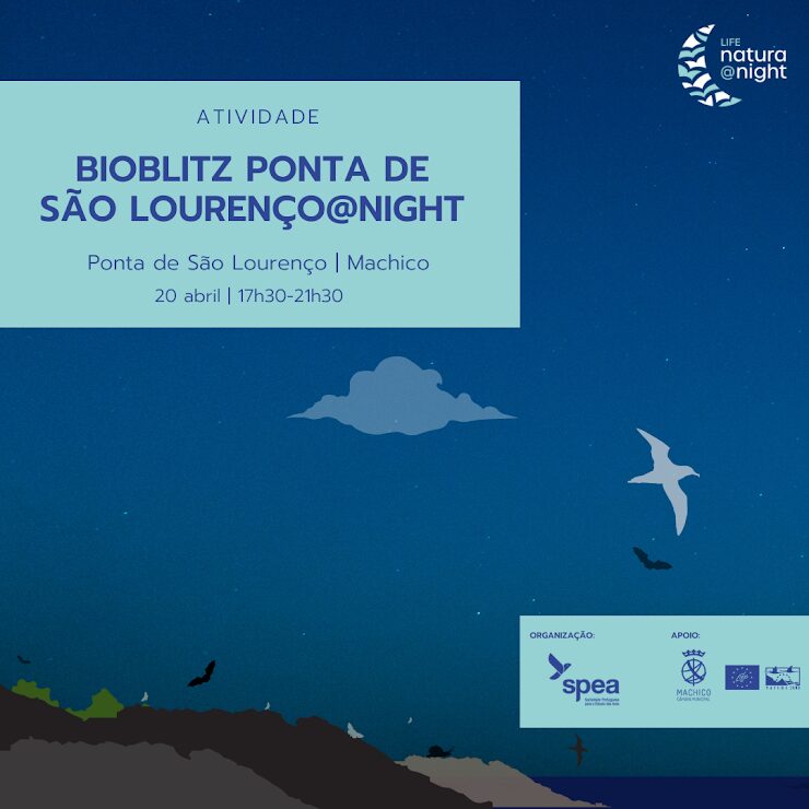 BioBlitz Ponta de São Lourenço@night