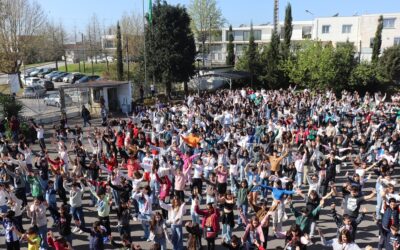 Canção cantada por todos os alunos a acompanhar o Hastear da Bandeira Verde
