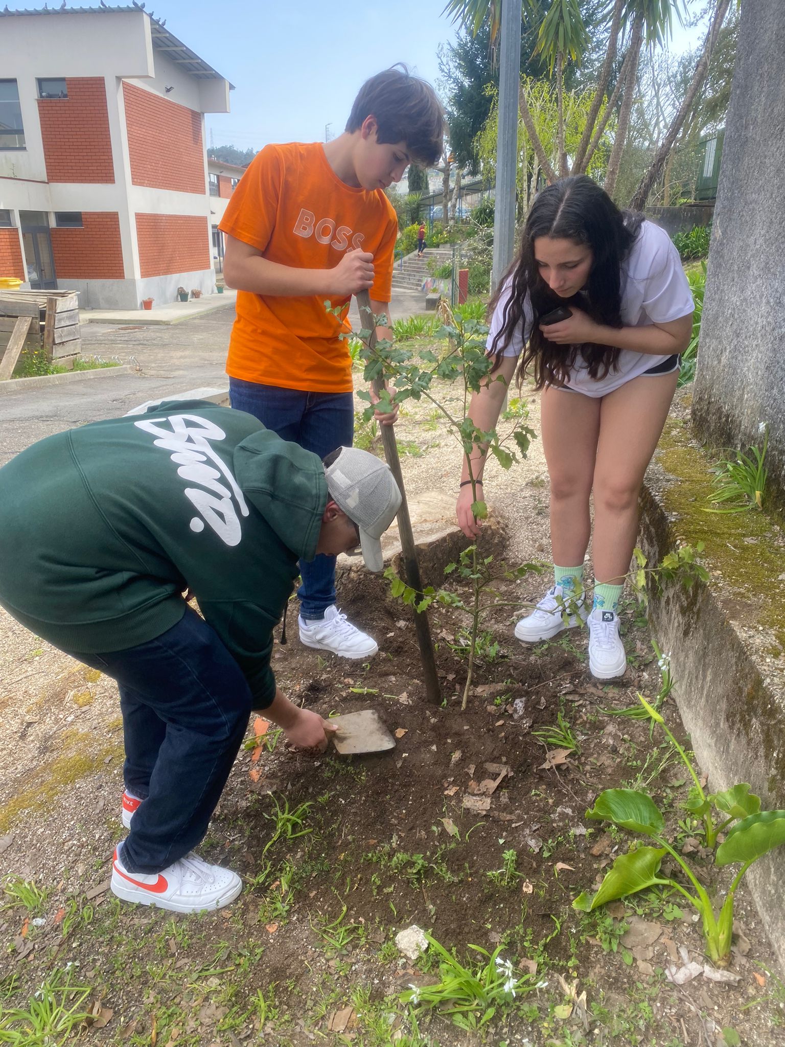 EBS Rebordosa AZEVINHO 1