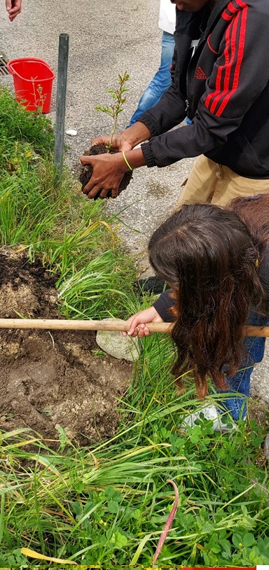 Escola Secundária Manuel Cargaleiro – Comemoração do Dia Internacional da Floresta