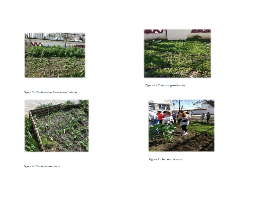 Dinamização da Horta Escolar