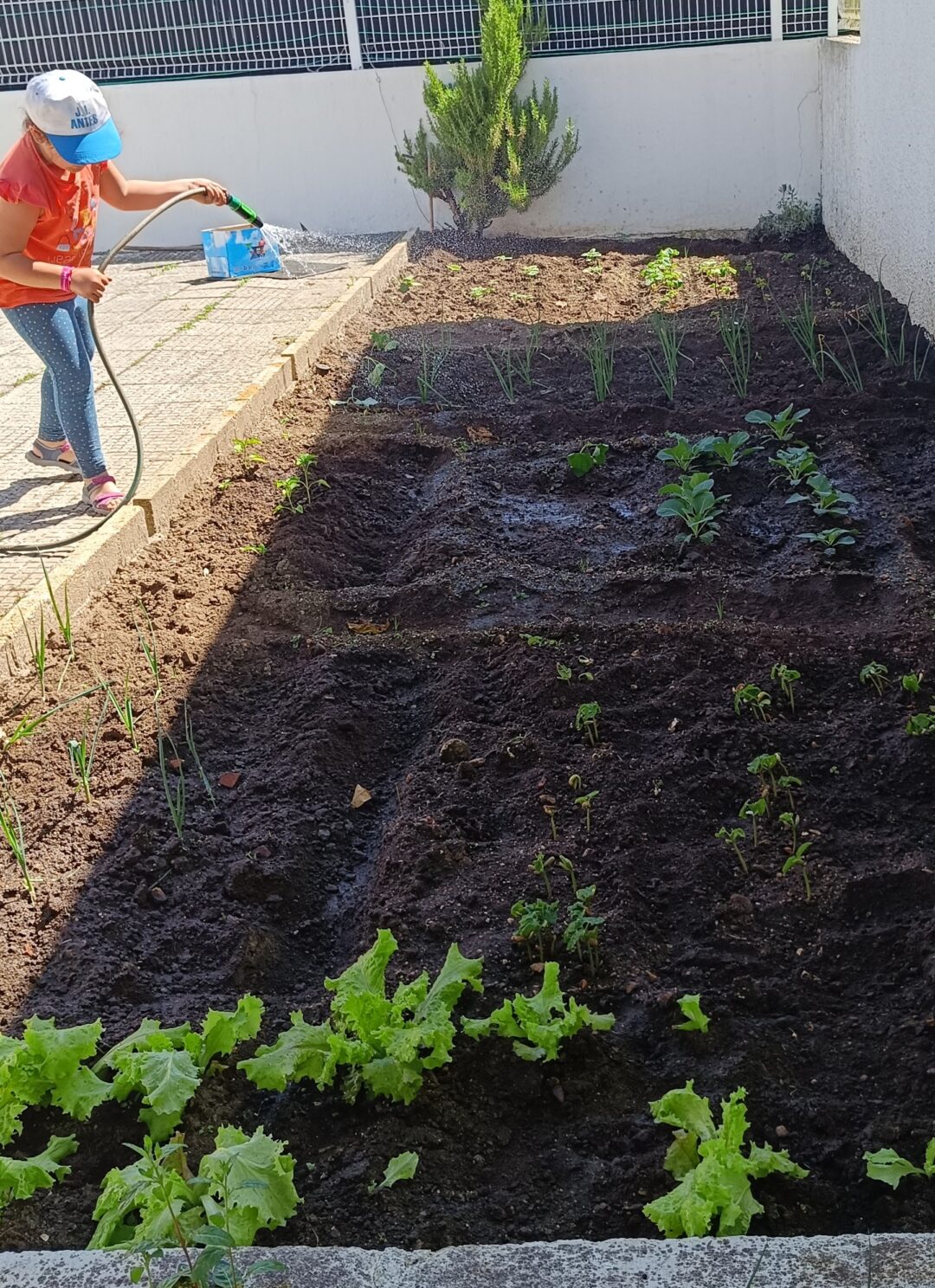 Eco escolas – Dia da Terra