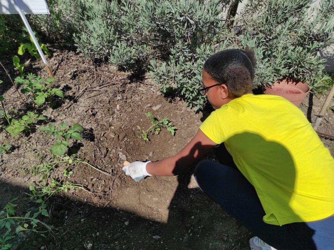 GAD – Horta Escolar no Global Action Day