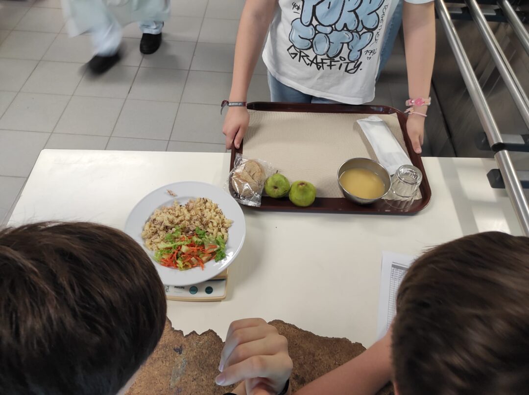 CANTINA + SUSTENTÁVEL