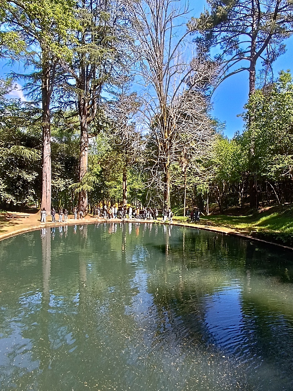 Aula de Campo na Mata do Mosteiro de Tibães