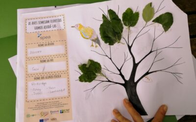 Aves de Monsanto- qual a vossa árvore?