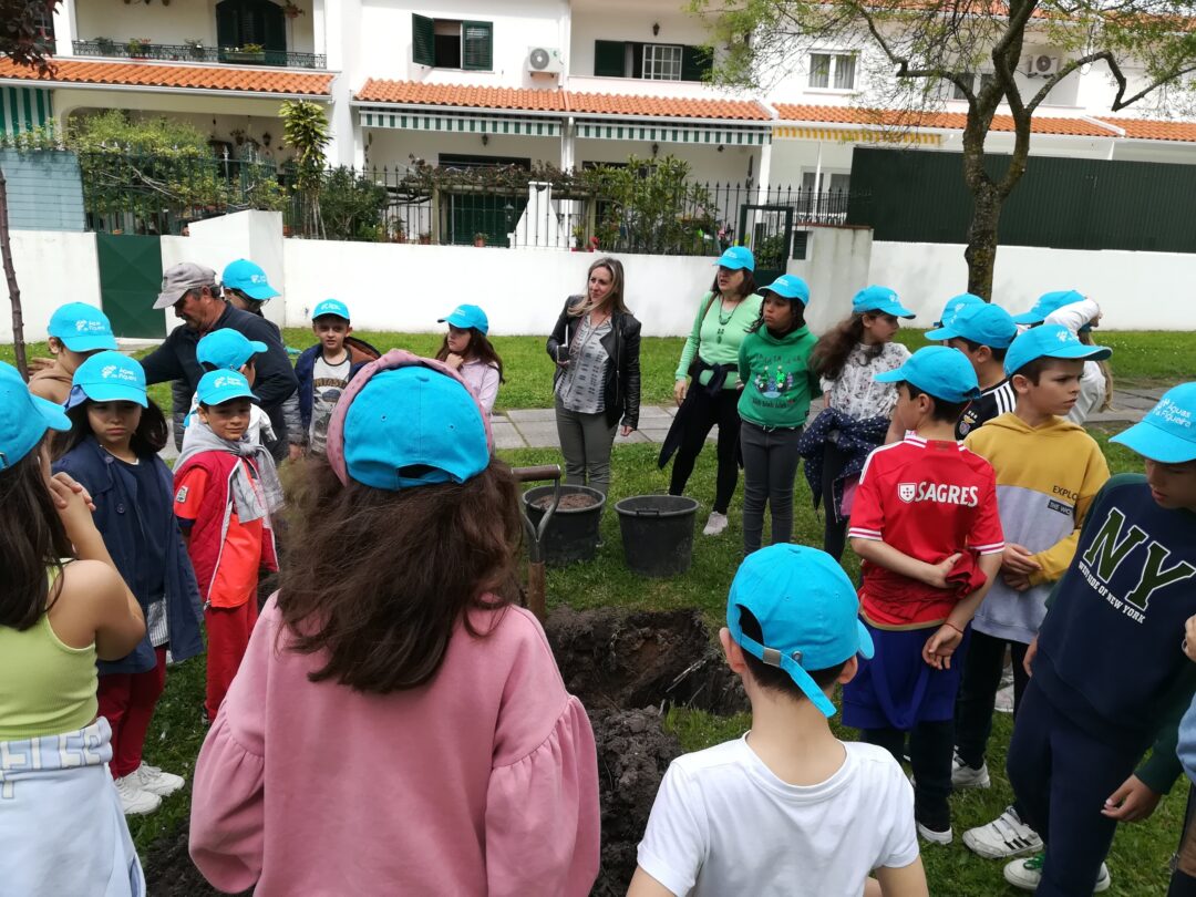 Comemorar o Dia Mundial da Árvore e da Floresta