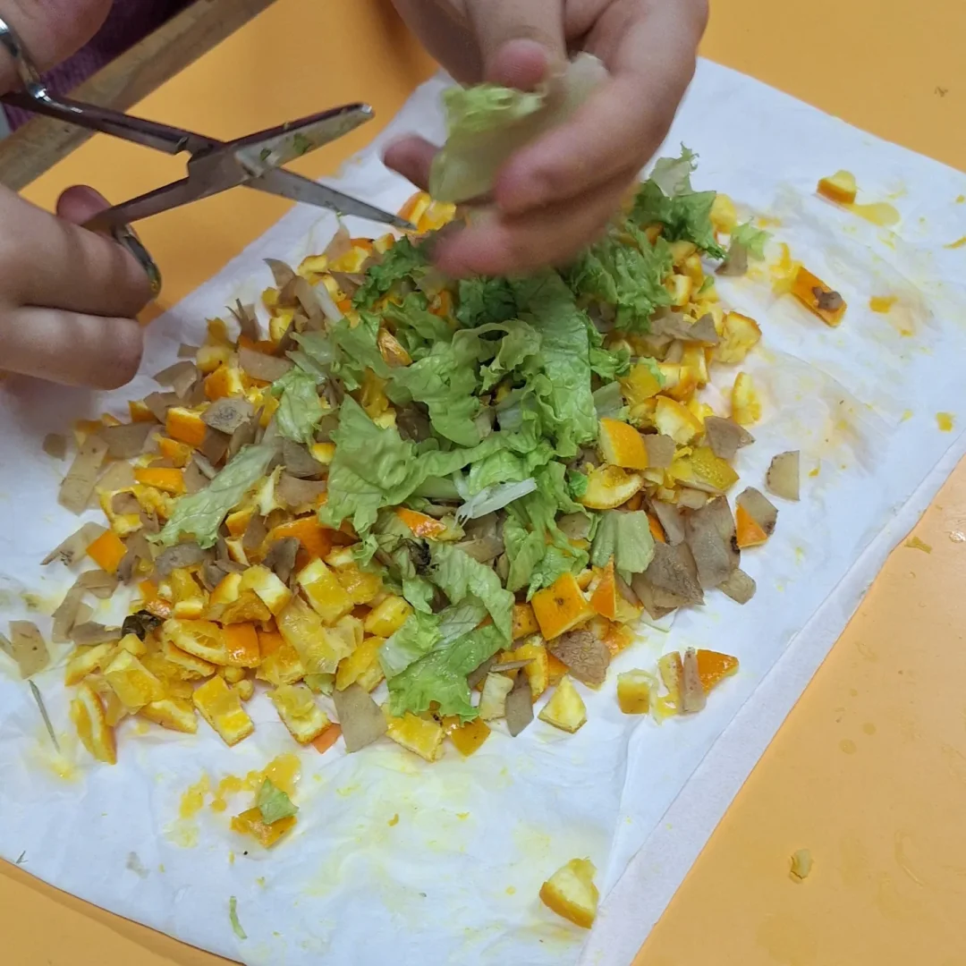 Comemoração dos Global Action Days