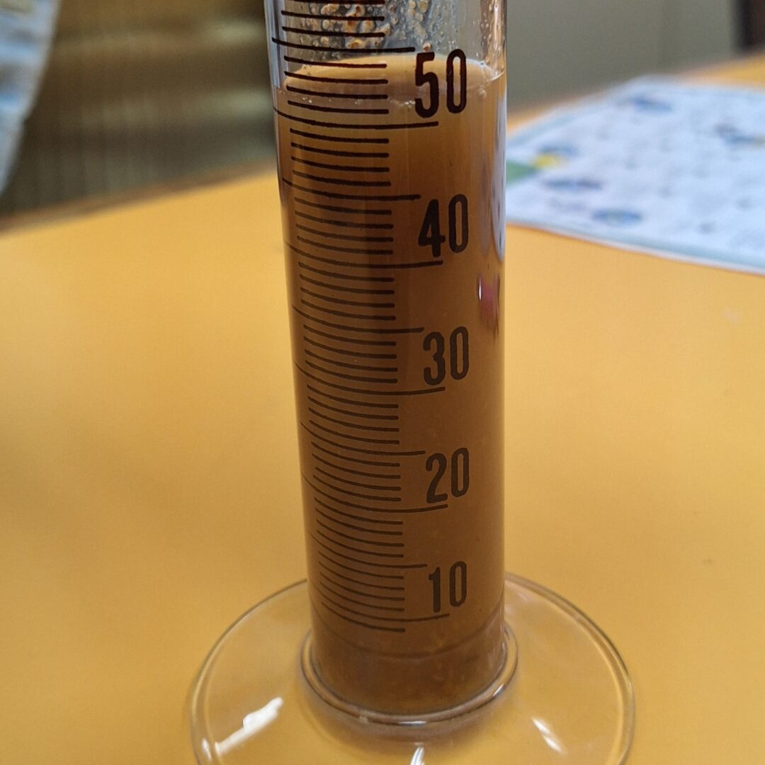 Comemoração dos Global Action Days