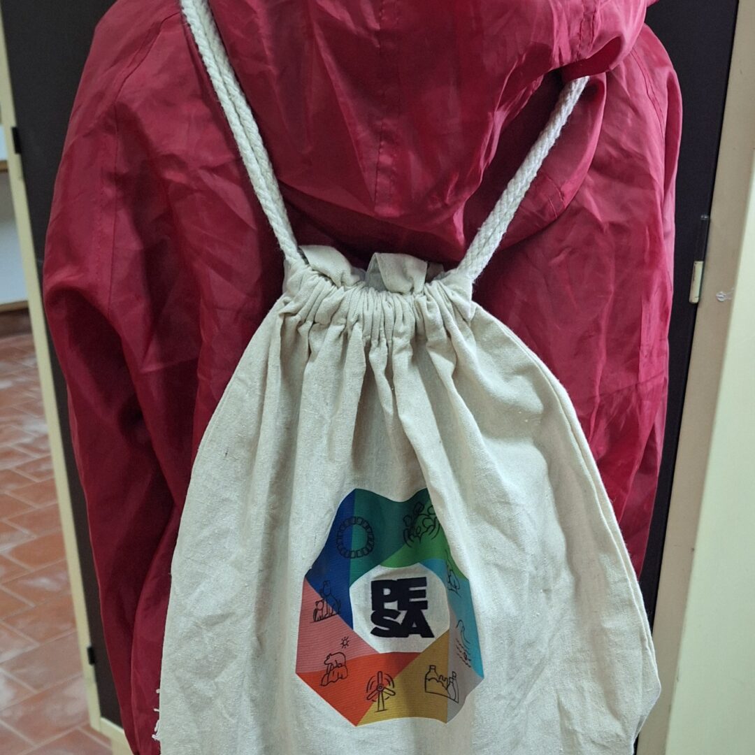 Comemoração dos Global Action Days