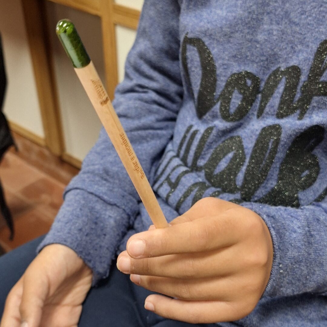 Comemoração dos Global Action Days