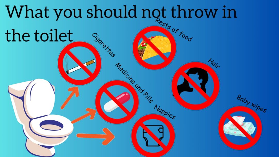 Visita de estudo à ETAR de Beirolas