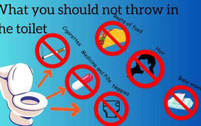 Slide da apresentação ao 4º ano