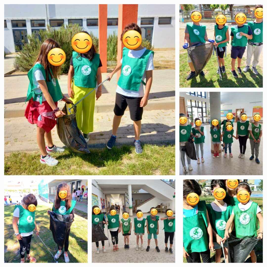 Mega Brigada Ambiental