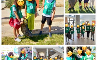 Mega Brigada Ambiental