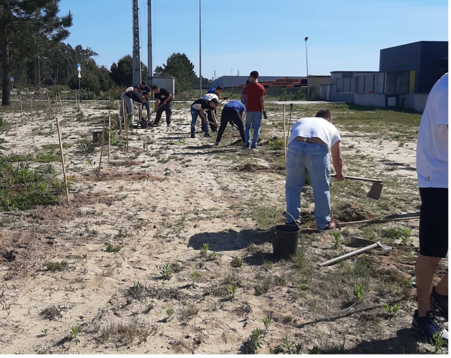 “Mãos à Plantação” | Plantação de espécies autóctones no Eco-Parque de Estarreja
