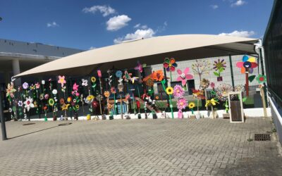 Exposição das flores