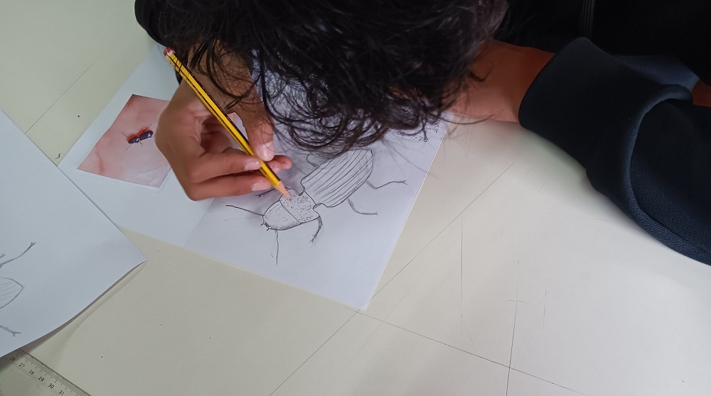 A Bio e Geodiversidade da Minha Escola