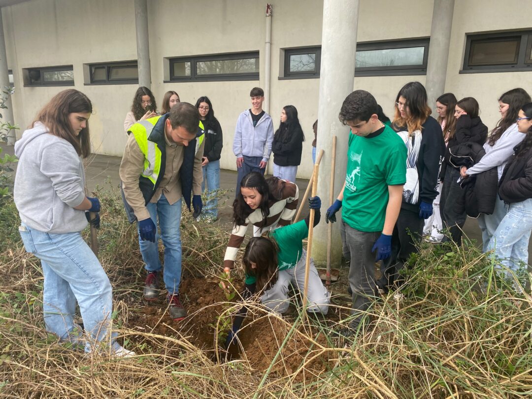 Espécies Invasoras VS Espécies Autóctones