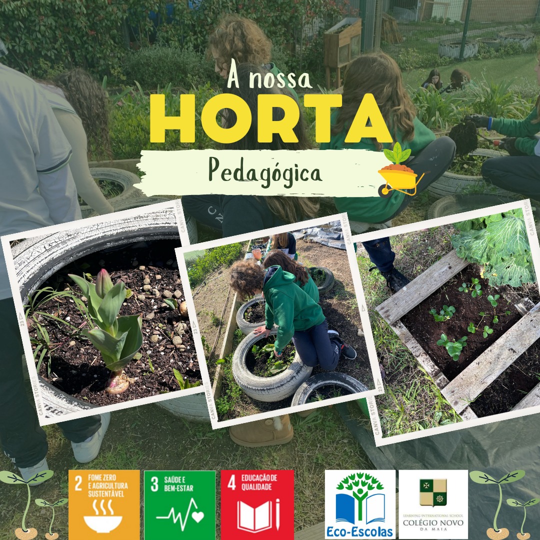 Horta pedagógica
