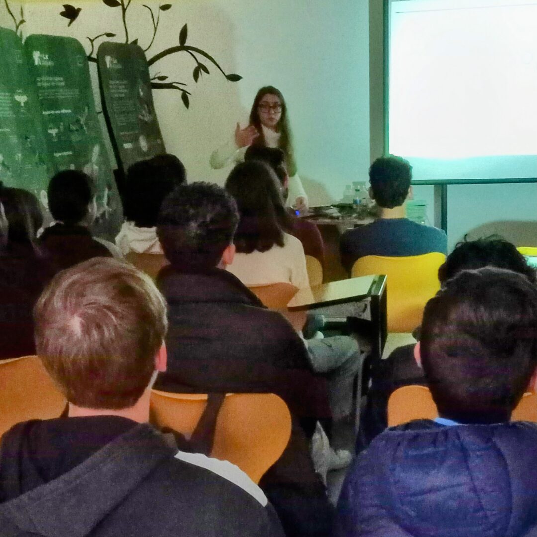 Invasora. pt – workshop