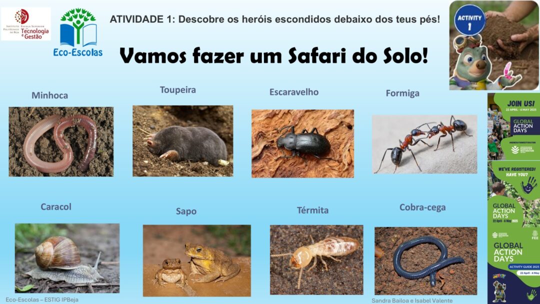 ATIVIDADE 1: Descobre os heróis escondidos debaixo dos teus pés!