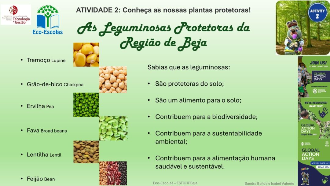 ATIVIDADE 2: Conheça as nossas plantas protetoras!