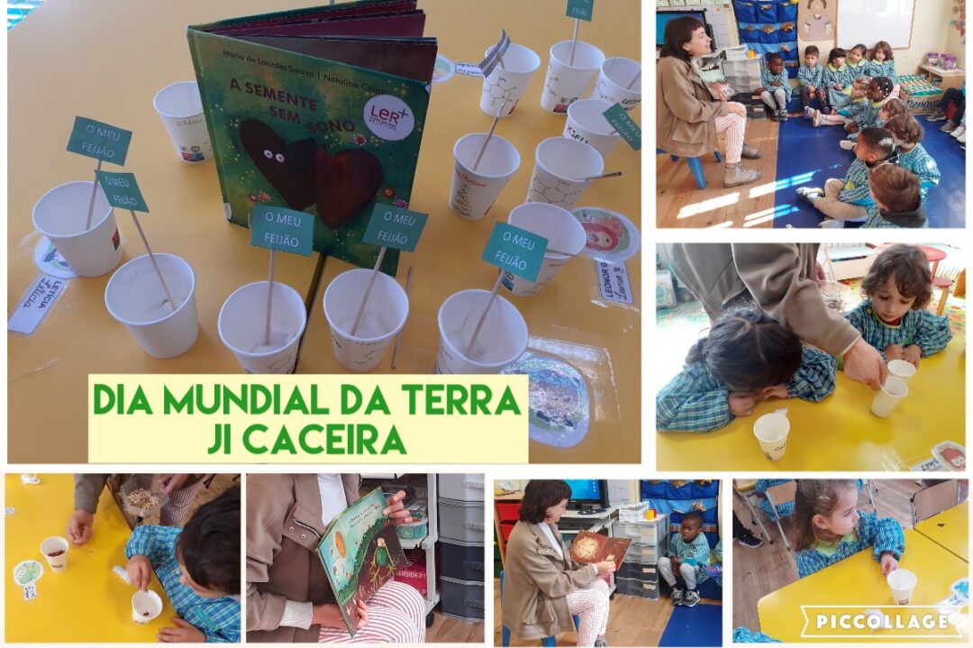 Dia Mundial da Terra – sementeiras