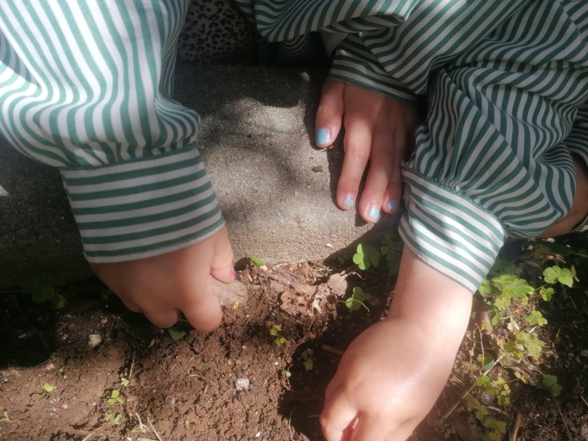 1f21aba9-ad0d-4b63-ad57-e71f586a1059