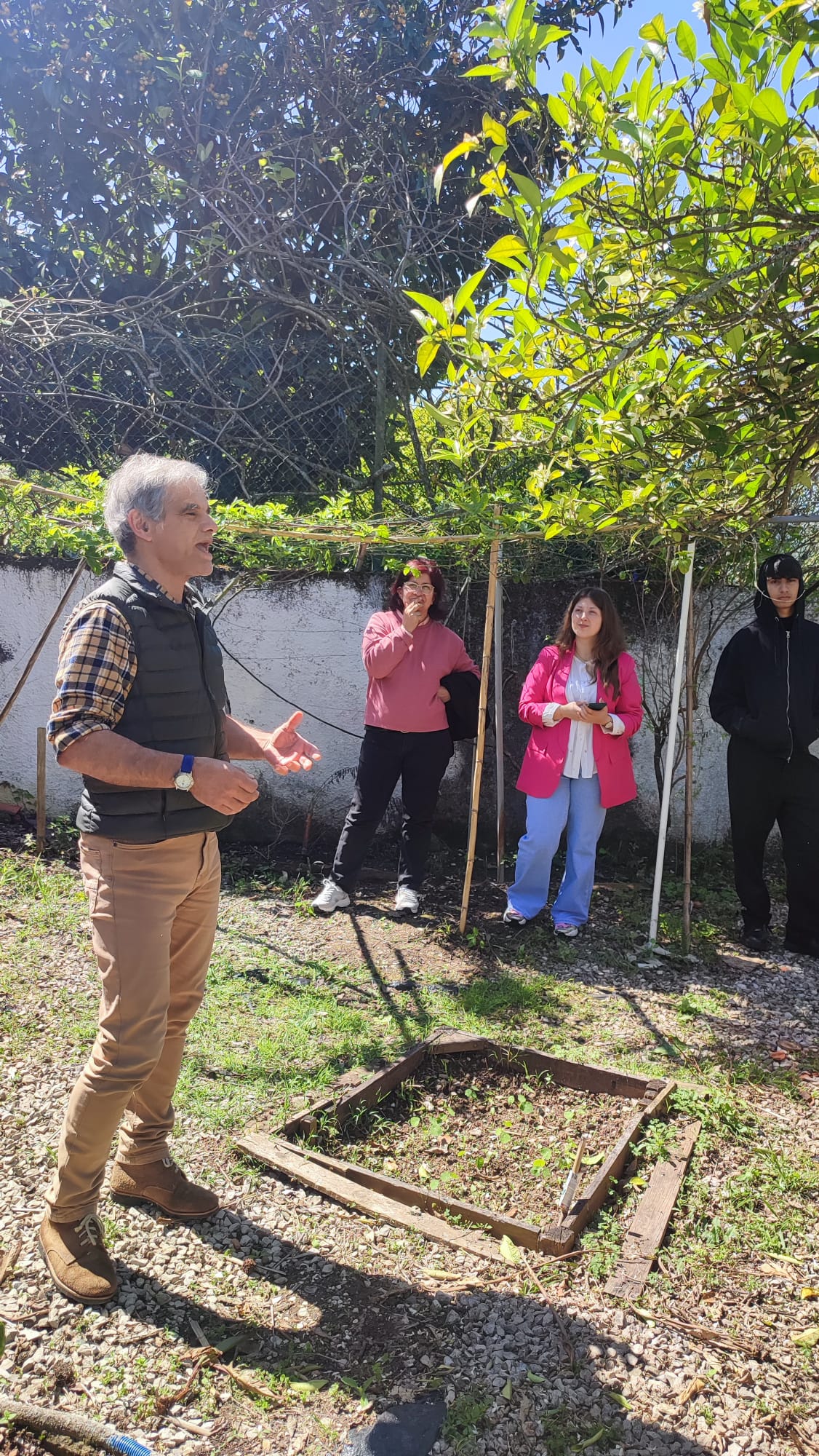 31e45cec-e7c0-4c31-8835-d4efd6fbda6a