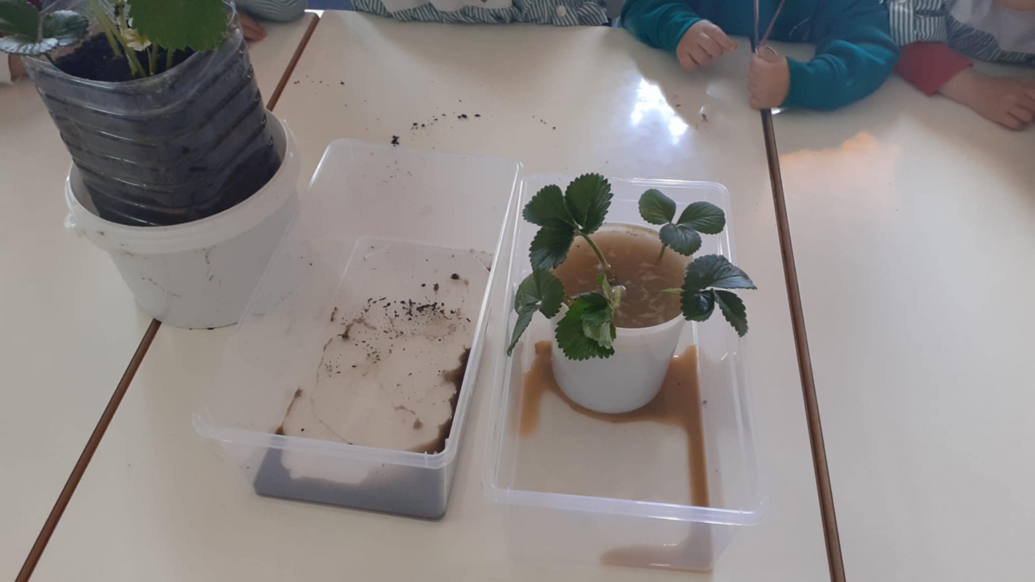 40ac0542-826b-47de-9cc8-19338e104e21