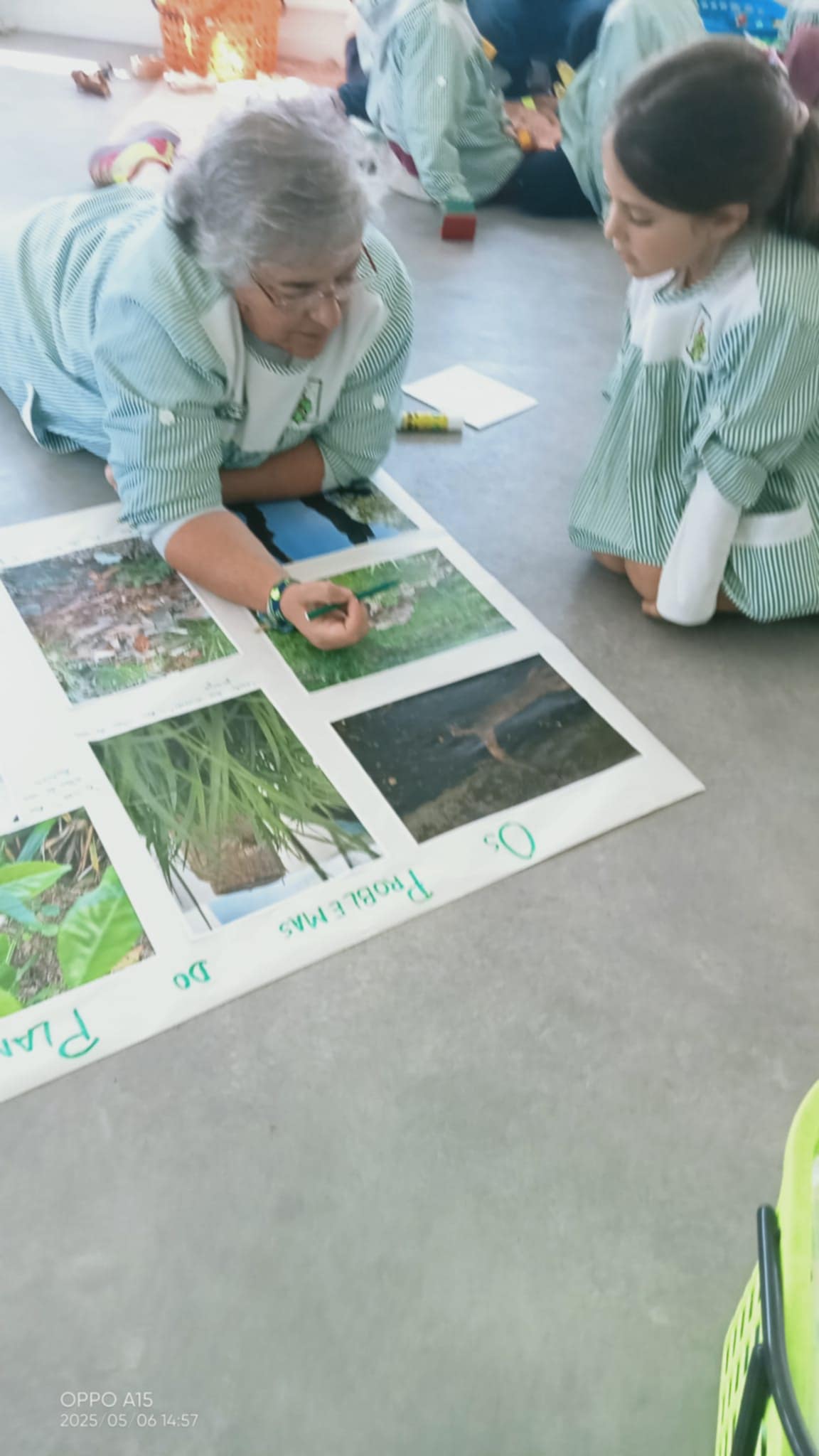 995ff0a0-ac26-49bf-8153-c3c83d66788f