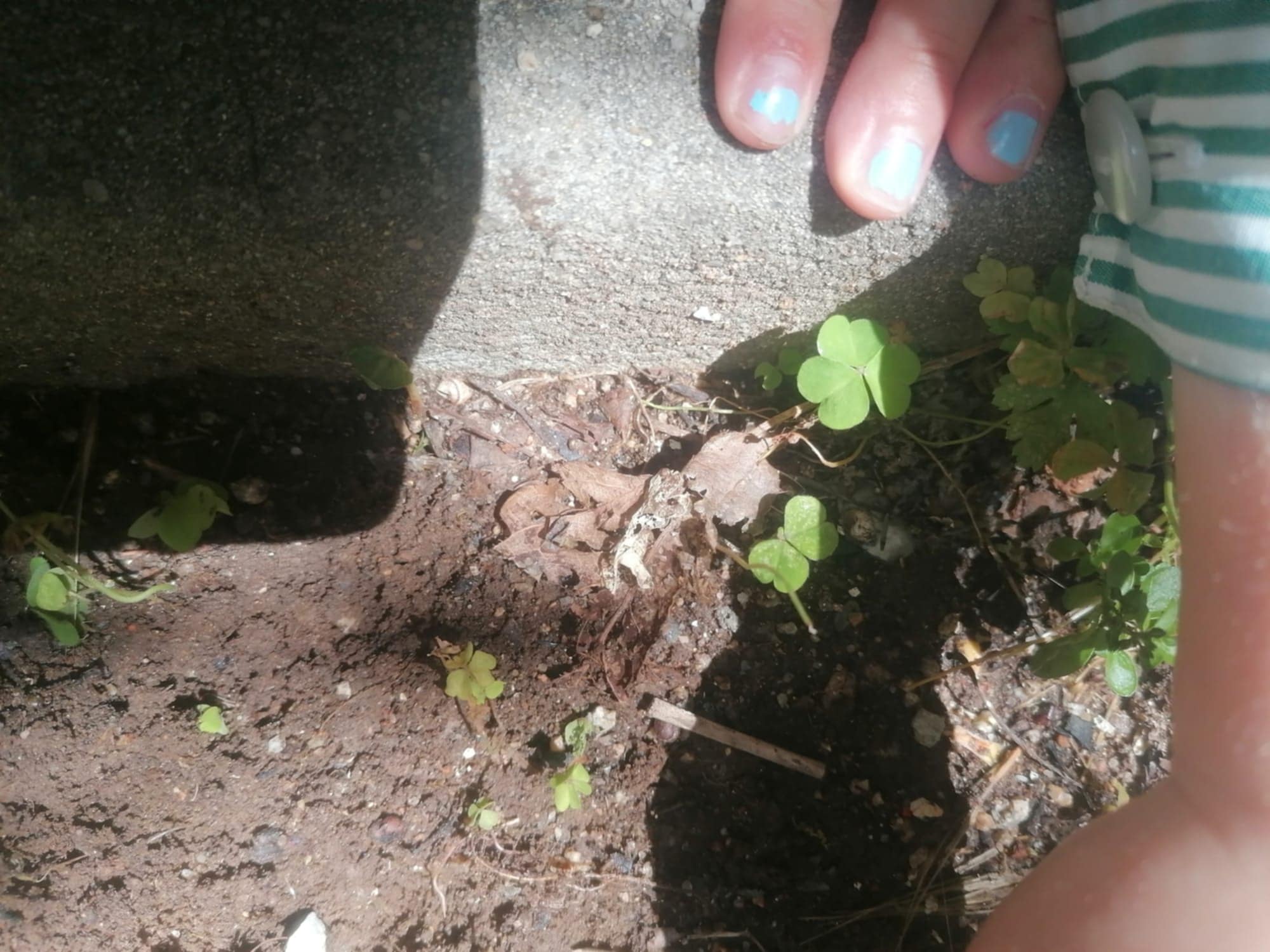 9e30f143-5f0d-4ed7-9bc6-8e2538510e67