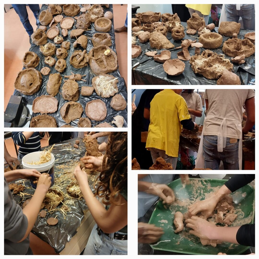 Reconstrução de habitats