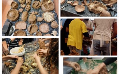 Workshop eco-construção