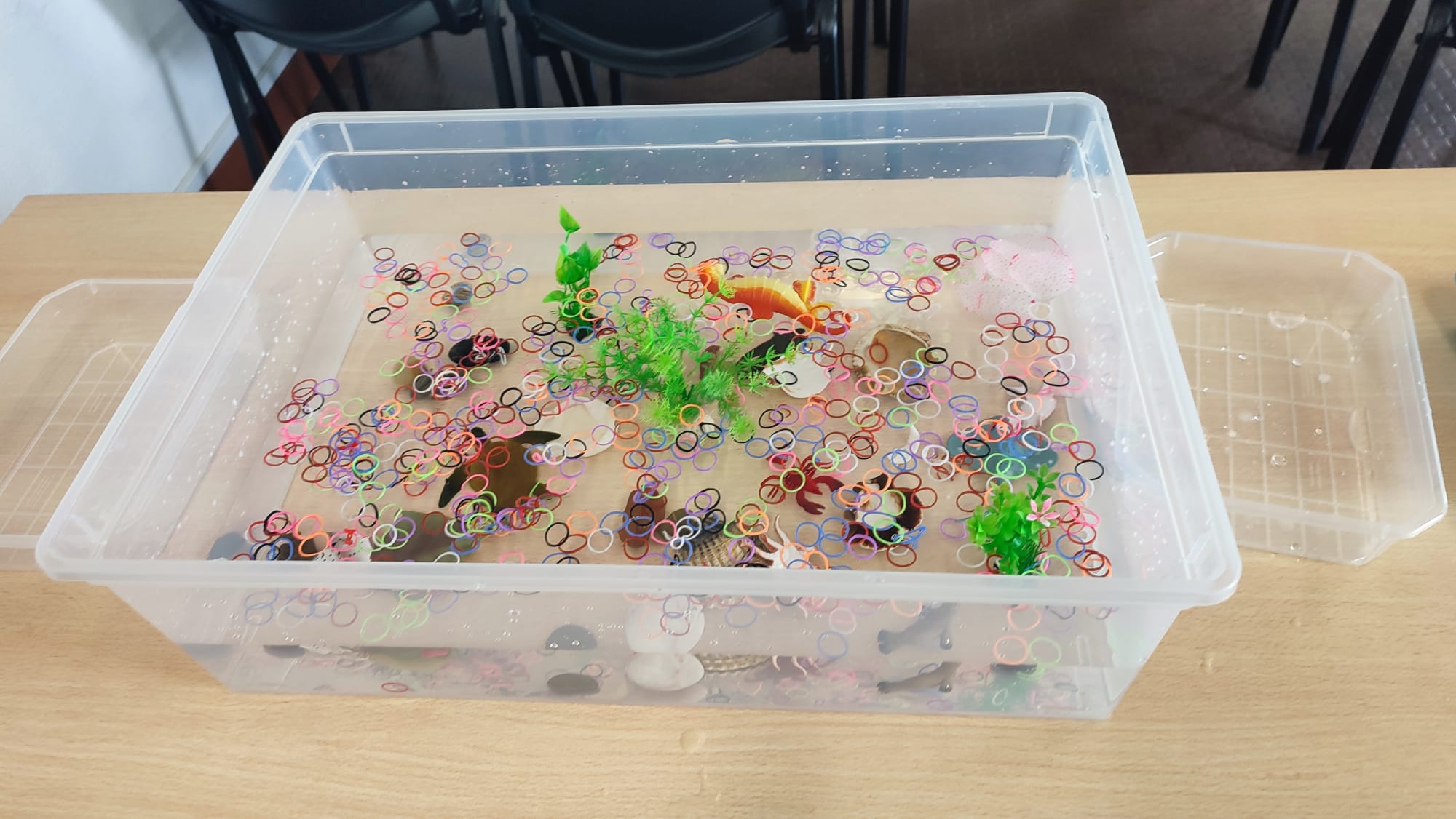 c3a807df-19a3-4dce-bb66-76aae83d1923