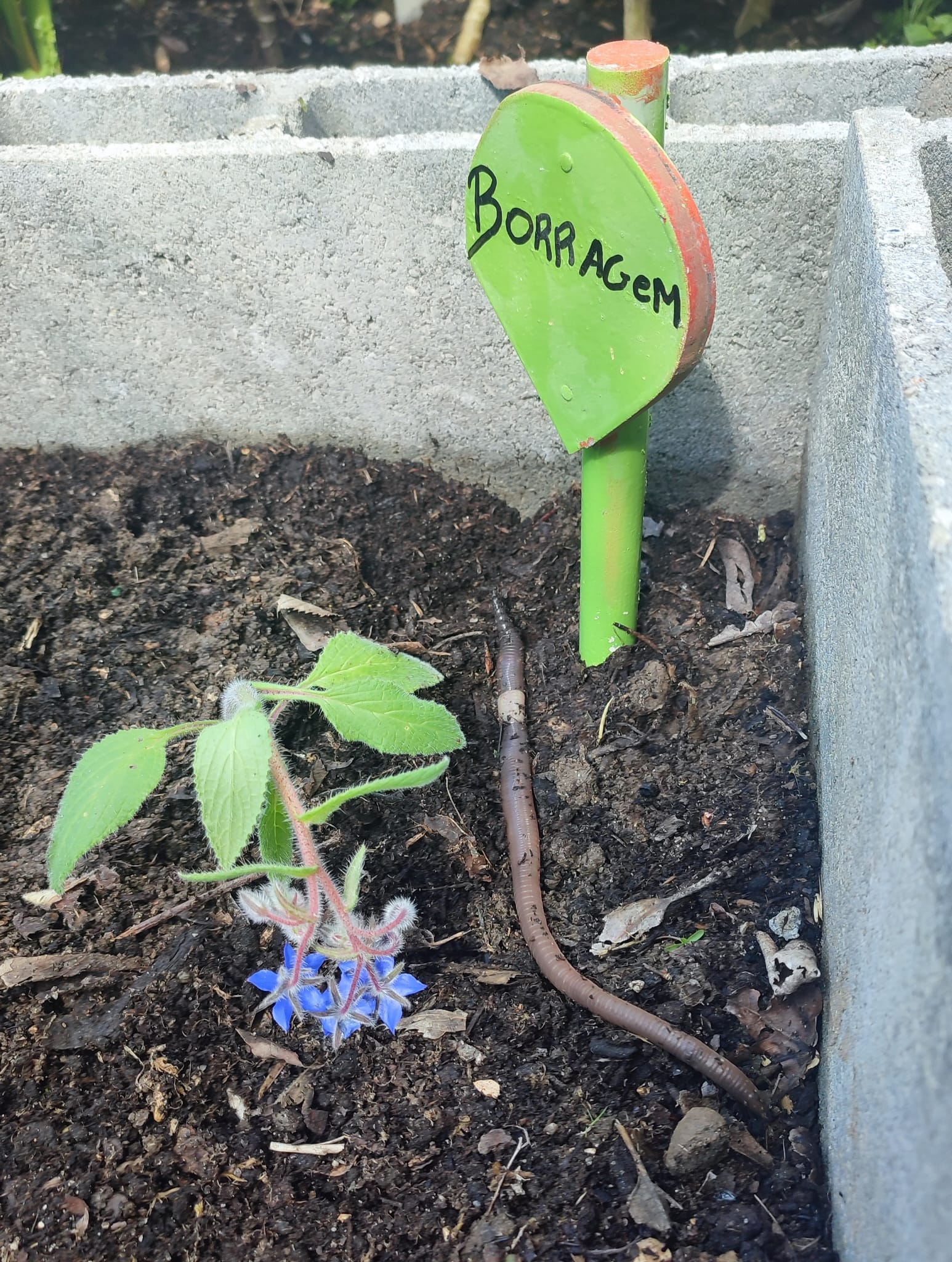 e4768b8f-81ae-4fc0-8d15-c0b3c7a87b38