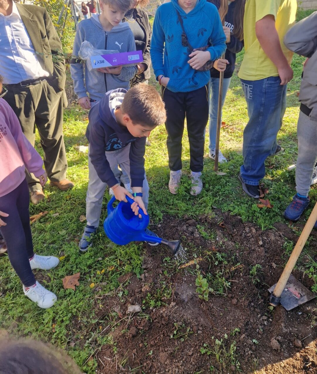 Sementes de futuro: Educação ambiental e plantação de sobreiros na escola