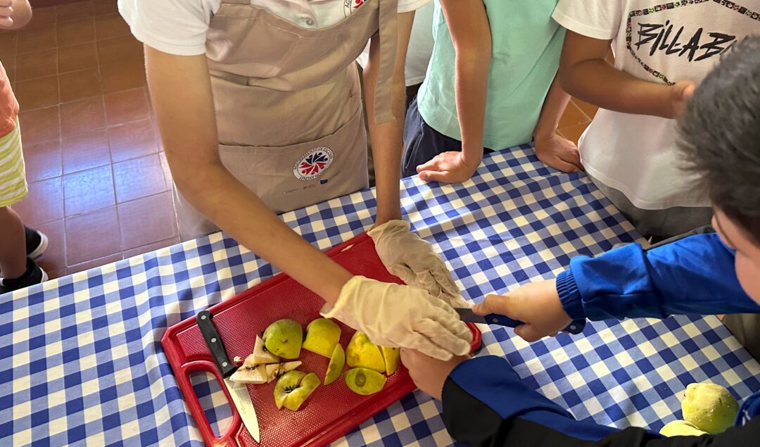 Da horta à mesa: uma doce experiência pedagógica