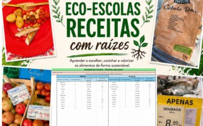 Dados recolhidos pelos alunos de TRB2