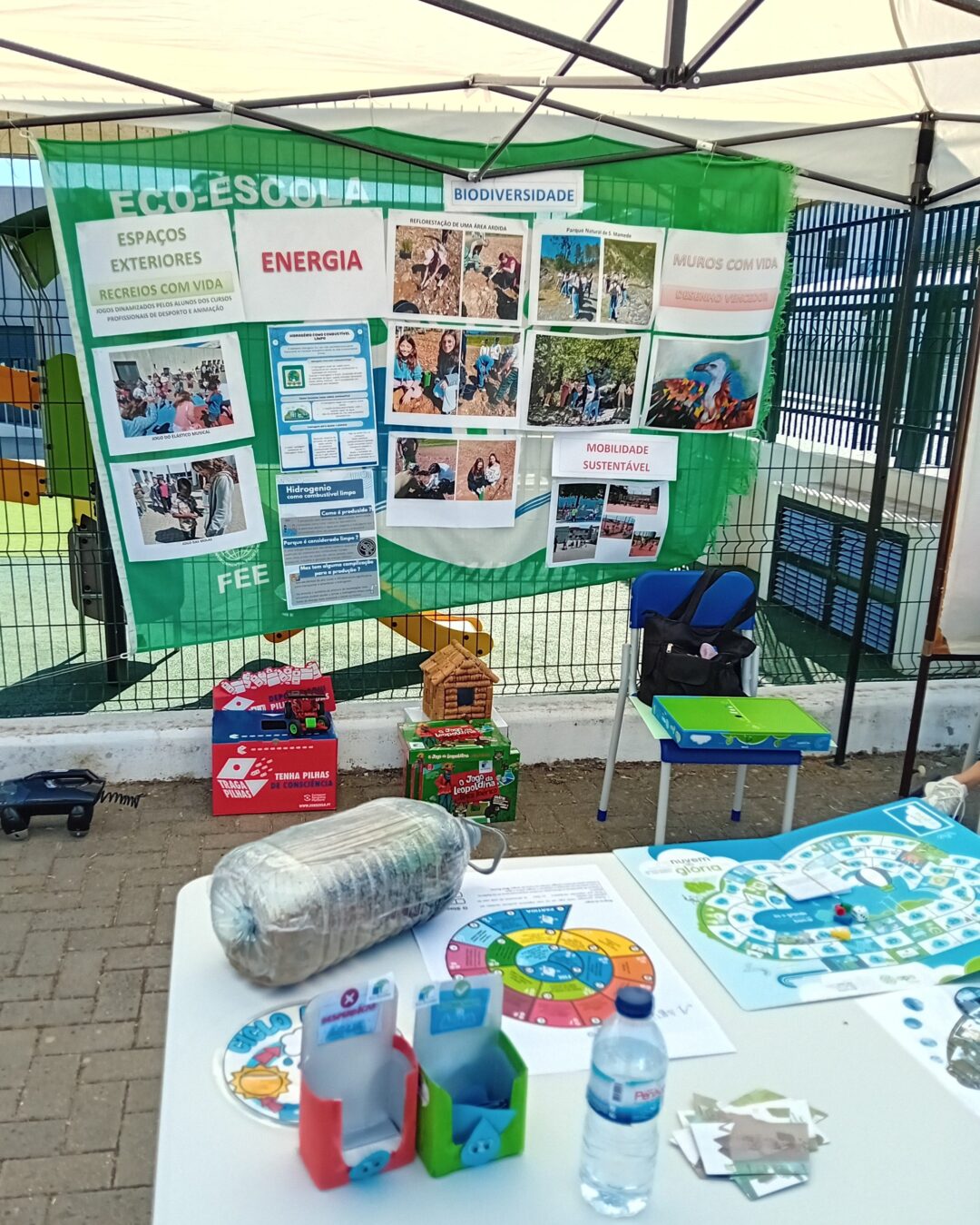 Dia Eco-Escolas
